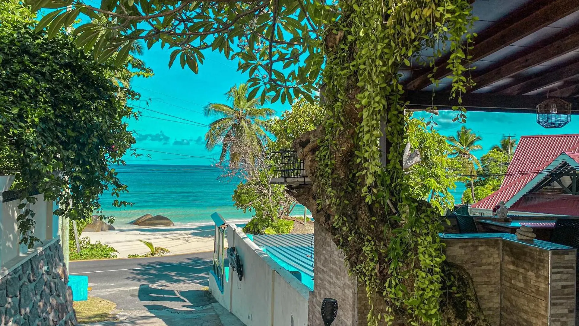 Nocleg ze śniadaniem Divers Lodge Guest House Beau Vallon