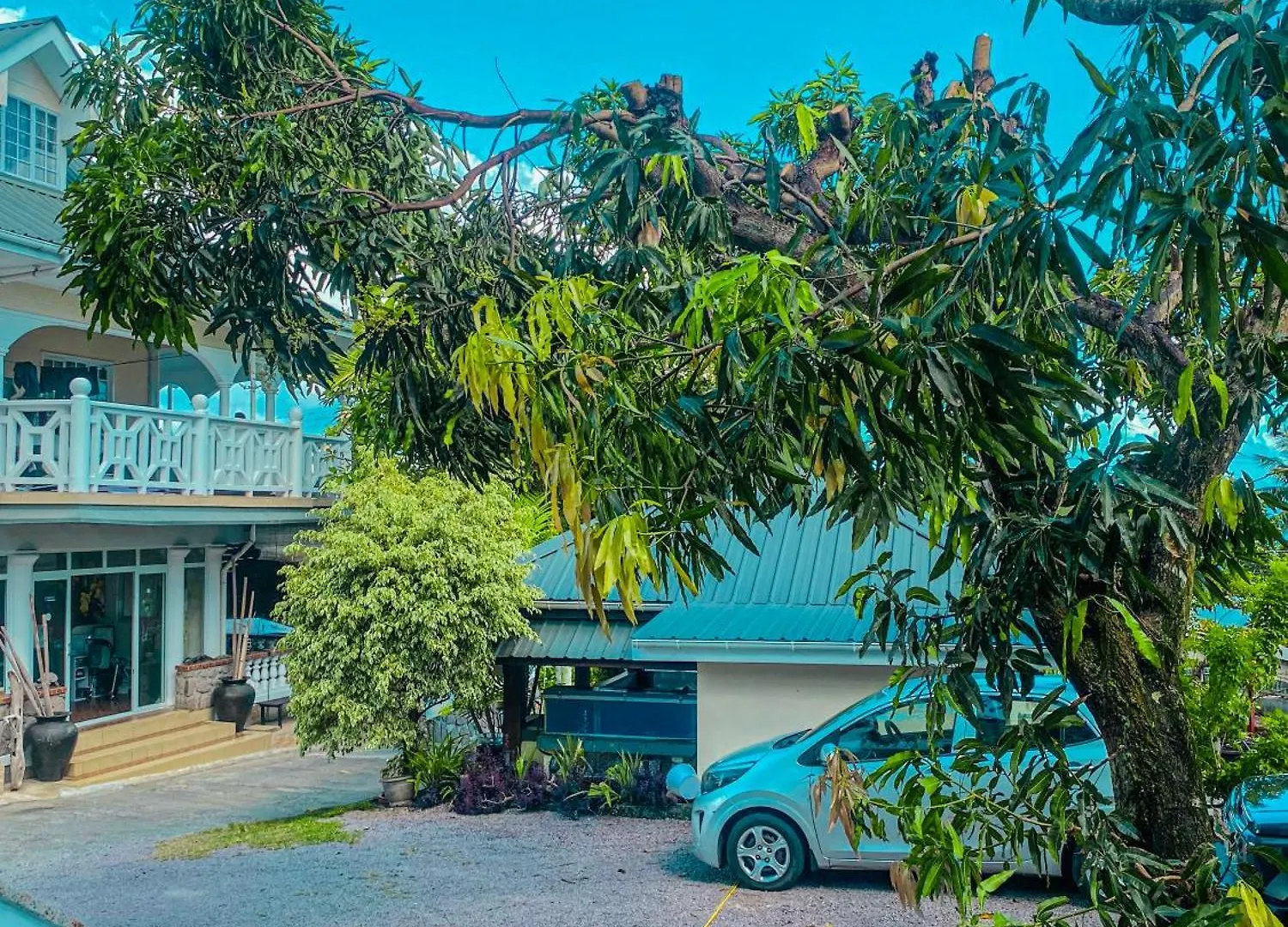 Divers Lodge Guest House Beau Vallon  Beau Vallon (Mahe)