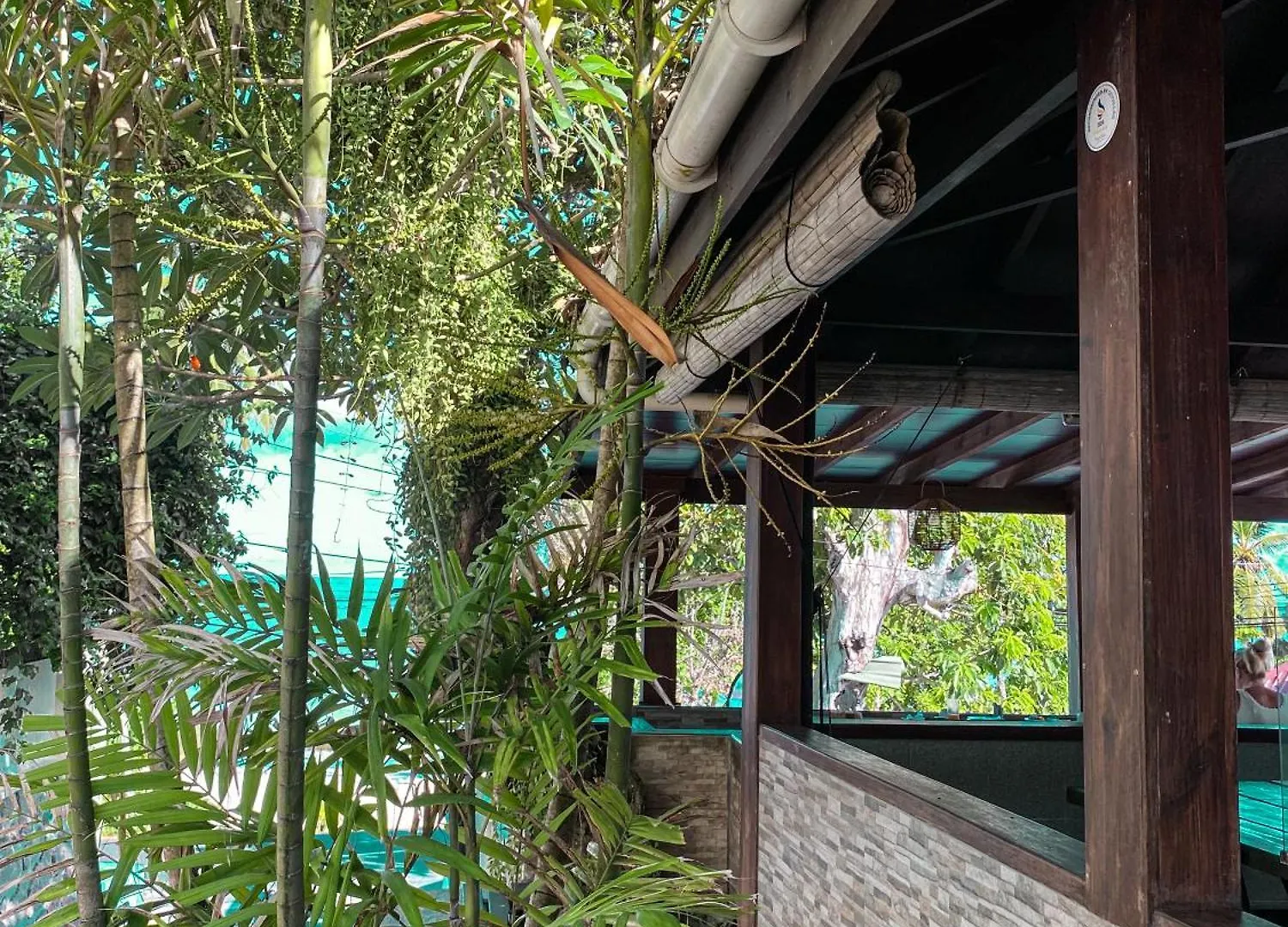 ** Bed and Breakfast Divers Lodge Guest House Beau Vallon  Σεϋχέλλες