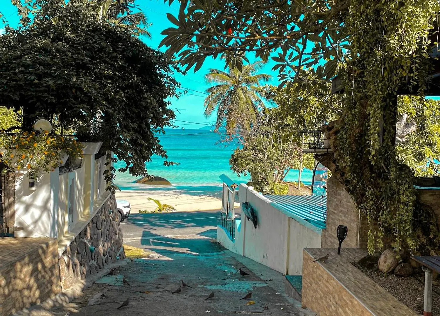 Divers Lodge Guest House Beau Vallon  Frühstückspension