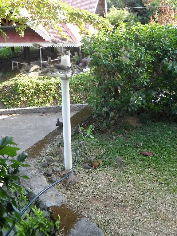 Divers Lodge Guest House Beau Vallon  Frühstückspension Beau Vallon (Mahe)