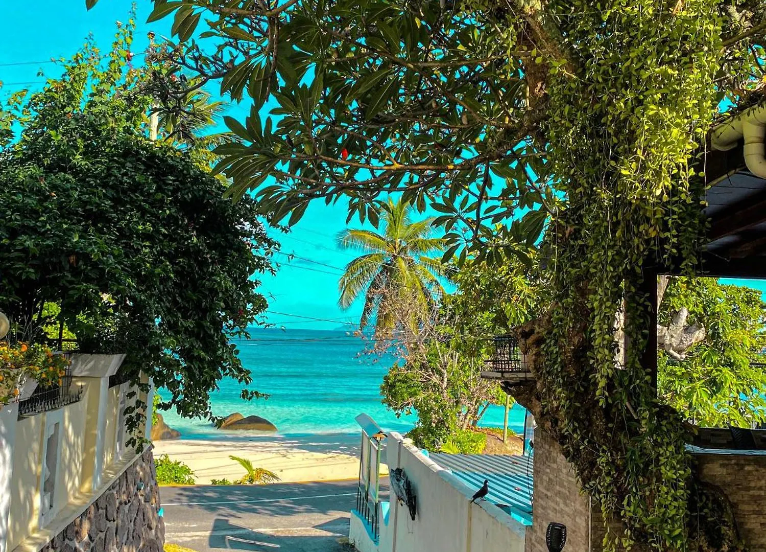 Divers Lodge Guest House Beau Vallon  Bed & Breakfast